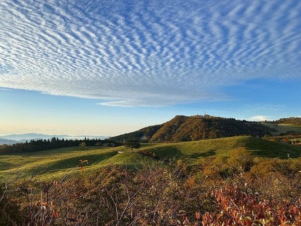 休暇村 茶臼山高原 秋 紅葉に染まる茶臼山高原 周辺渓谷のシーズン限定 21年度 茶臼山高原秋色ビュッフェ Yahoo トラベル