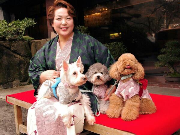 湯村温泉 朝野家 お留守番はいや ッ ペットだって旅行がしたい お食事の時も一緒 ペットも喜ぶ温泉旅行 たび Yahoo トラベル
