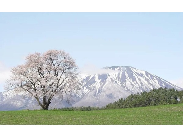 雫石プリンスホテル 宿泊プラン一覧 Yahoo トラベル