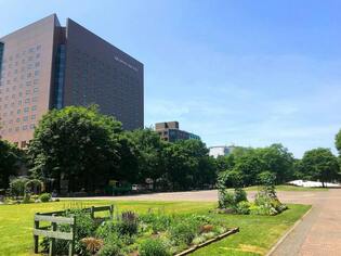 札幌市円山動物園 円山公園 周辺のホテル 旅館 宿泊予約 Yahoo トラベル