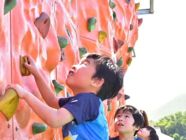 プチホテル 伊豆シャボテンヴィレッジ 伊豆ぐらんぱる公園入場券付 2食付 東京ドーム5個分の広さ 遊具やアトラクションで遊ぼう Yahoo トラベル