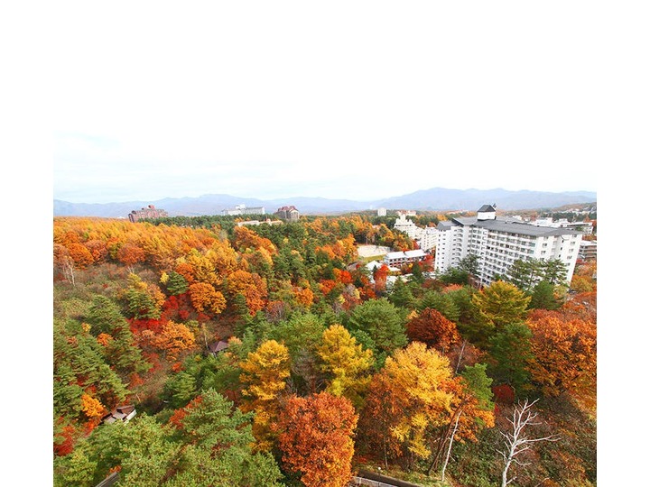 草津温泉 ホテルニュー紅葉 宿泊プラン一覧 Yahoo トラベル