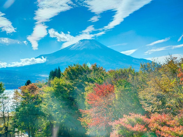 フォレストリゾート 山中湖秀山荘の写真ギャラリー Yahoo トラベル