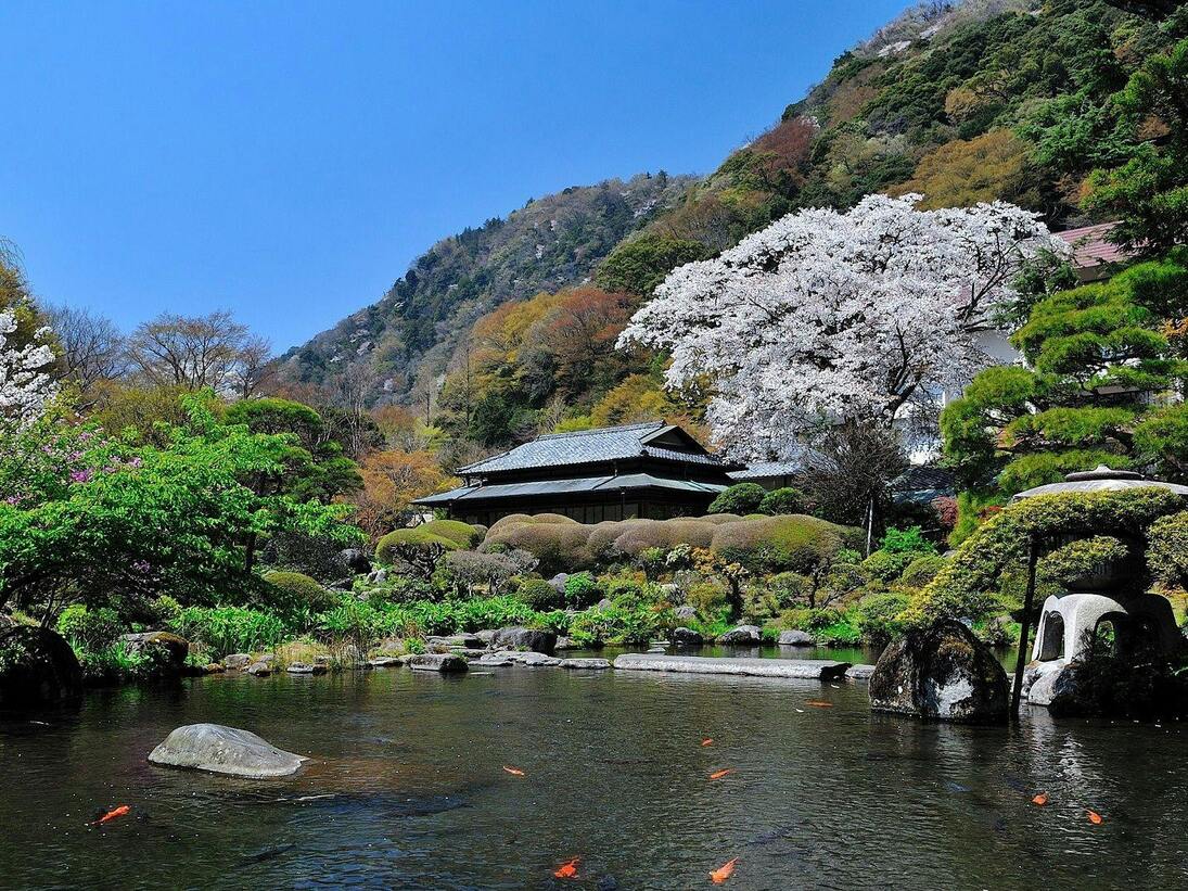 吉池旅館 口コミ レビュー Yahoo トラベル