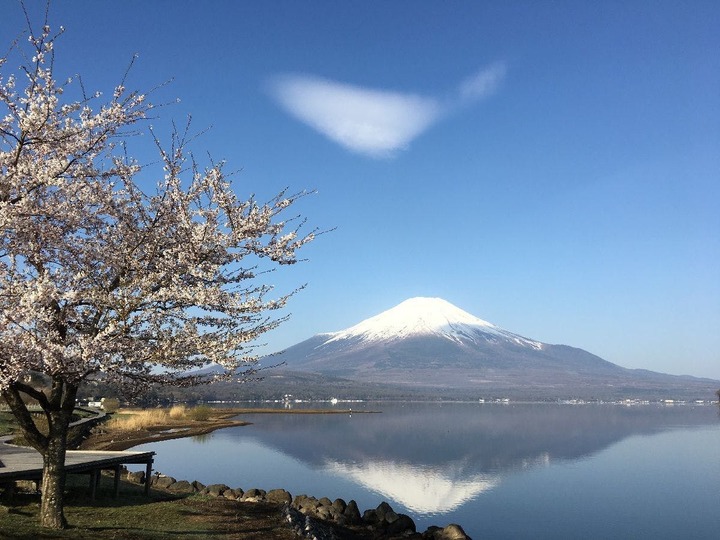 山中湖ペンションブルーリボン 宿泊プラン一覧 Yahoo トラベル