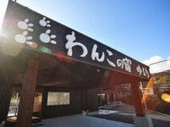 別府温泉 わんこの宿ゆるり 宿泊プラン一覧 Yahoo トラベル