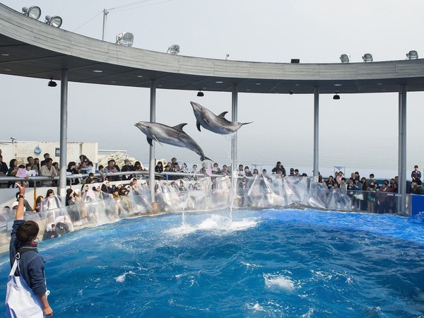 湯快リゾートプレミアム ホテル風月 大分マリーンパレス水族館 うみたまご 入館券付きプラン Yahoo トラベル