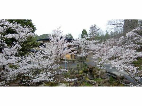 旅館 瓢きん 宿泊予約は Yahoo トラベル