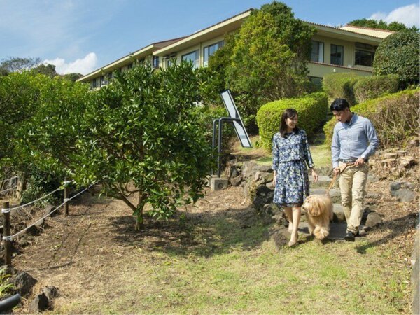 海を望む ペットと泊まれる宿 Wan S Resort ワンズリゾート 城ヶ崎海岸 伊豆高原 素泊まり 自由な時間がたっぷり 愛犬と充実の伊豆観光 Yahoo トラベル